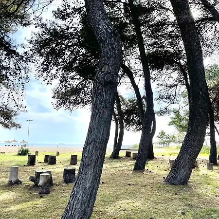 Brand New * Durrës